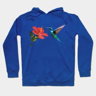 Flying Humming Bird Hibiscus flower Hoodie